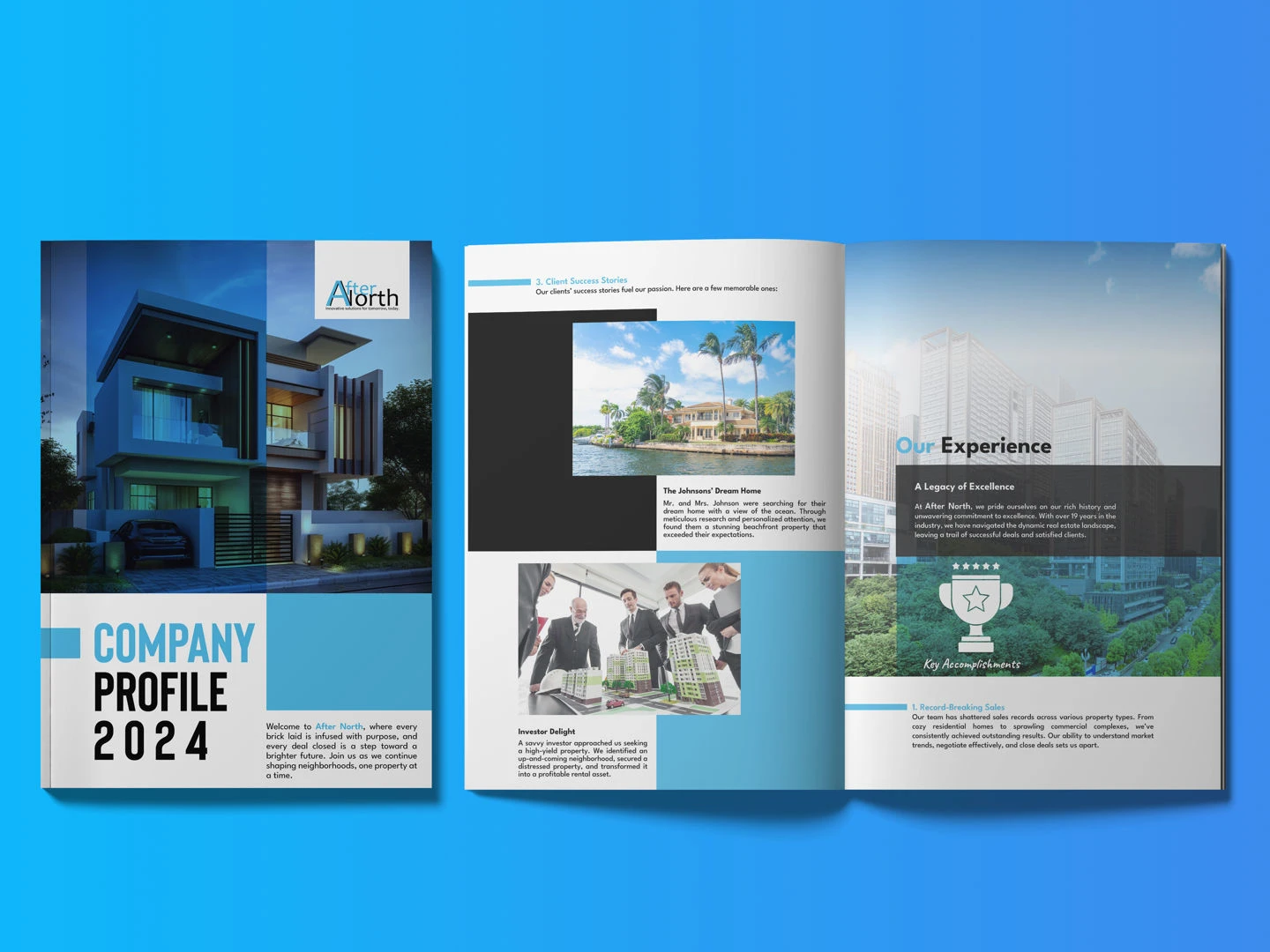 Company Profile